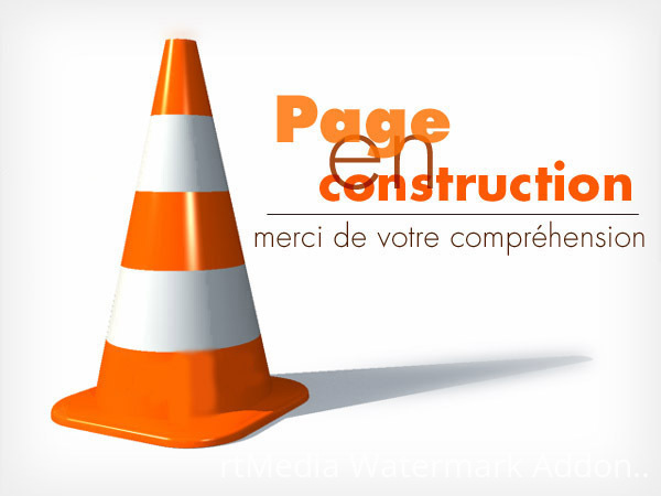 page-en-construction-2